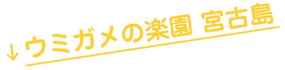 海ガメの楽園　宮古島