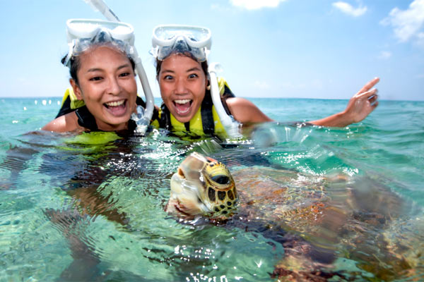 宮古島感動体験！ウミガメと泳ぐシュノーケル